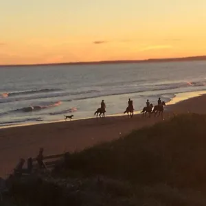 Moonlight Lawrencetown